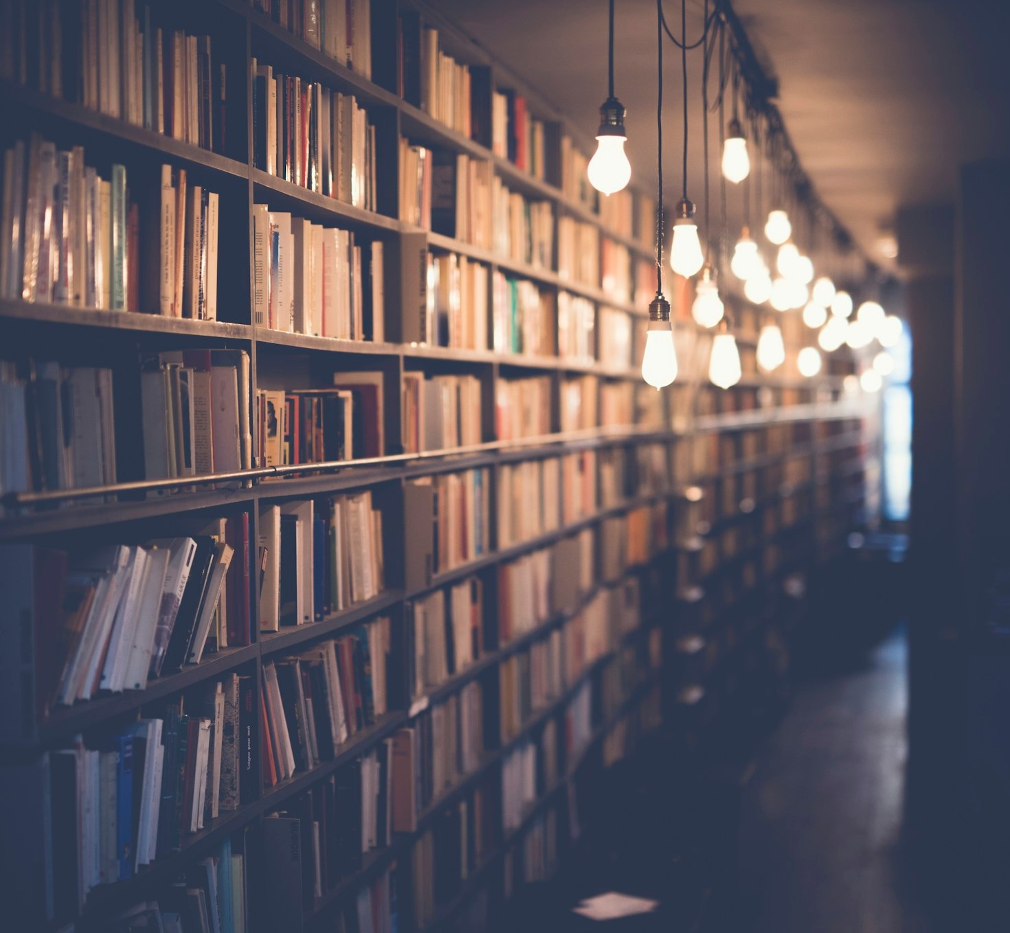 Curating Your Personal Library For Success